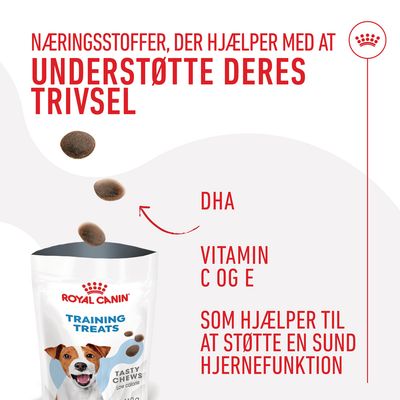 Royal Canin Training Treats Tasty Chews. Næringsstoffer, der hjælper med at understøtte deres trivsel. DHA, vitamin C og E støtter sund hjernefunktion. Lavt kalorieindhold.