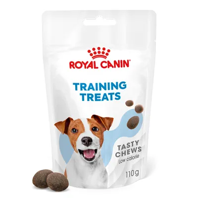 Training treats pouch, 110g, labelled tasty chews and low calorie. Several round treats are shown next to the packaging.