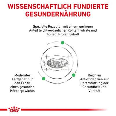 Texte en allemand : Wissenschaftlich fundierte Gesundernährung, spezielle Rezeptur mit leichtverdaulichen Kohlenhydraten, moderater Fettgehalt, reich an Antioxidantien.