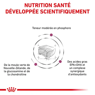 NUTRITION SANTÉ DÉVELOPPÉE SCIENTIFIQUEMENT, teneur modérée en phosphore, moule verte de Nouvelle-Zélande, glucosamine, chondroïtine, acides gras EPA+DHA, complexe d’antioxydants.