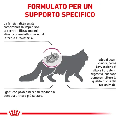 FORMULATO PER UN SUPPORTO SPECIFICO. La funzionalità renale compromessa impedisce la corretta filtrazione ed eliminazione delle scorie dal torrente circolatorio. I gatti con problemi renali tendono a bere e a urinare più spesso. Alcuni segni visibili, come l’avversione al cibo e i problemi digestivi, possono compromettere la qualità di vita del tuo animale.