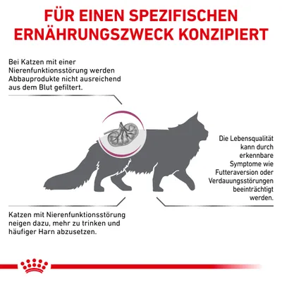 Grafik zur Ernährung von Katzen mit Nierenfunktionsstörung. Symptome: Abbauprodukte nicht gefiltert, vermehrtes Trinken, häufiges Harnsetzen, Futteraversion und Verdauungsstörungen.