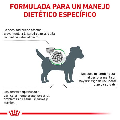 Formulada para un manejo dietético específico. La obesidad afecta la salud y calidad de vida del perro. Riesgo de recuperar peso tras perderlo. Perros pequeños propensos a problemas urinarios y bucales.