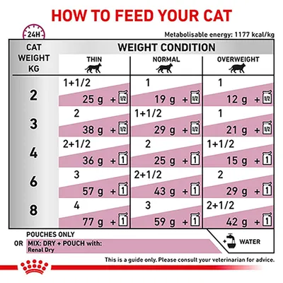 Feeding guide chart showing daily food amounts by cat weight and condition: thin, normal, overweight. Includes pouch and dry food combinations. Advises to consult a vet for guidance.