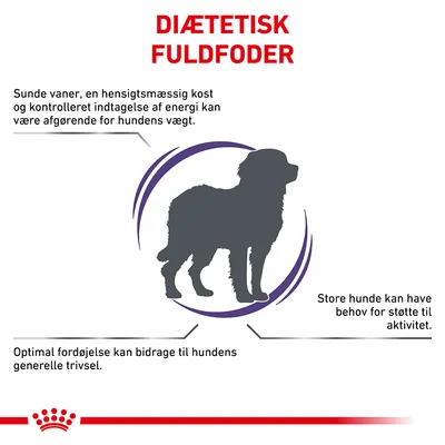 DIÆTETISK FULDFODER. Sunde vaner, hensigtsmæssig kost og kontrolleret energiindtagelse kan være afgørende for hundens vægt. Optimal fordøjelse bidrager til trivsel. Store hunde kan have behov for støtte.
