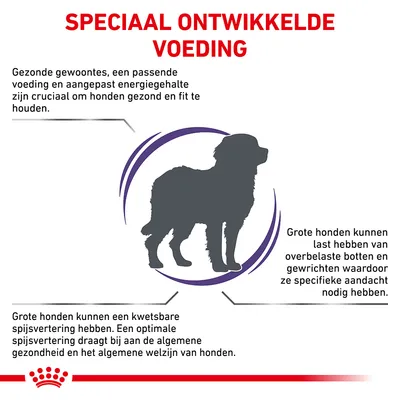 Speciaal ontwikkelde voeding. Gezonde gewoontes, passende voeding en energieniveau zijn cruciaal voor honden. Grote honden: kwetsbare spijsvertering, overbelaste botten en gewrichten.
