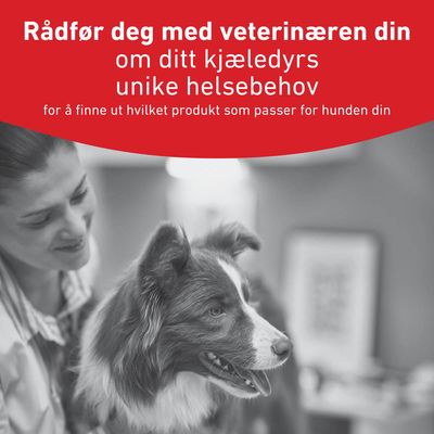 Royal Canin Veterinary Canine Glycobalance