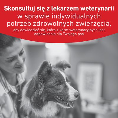 Royal Canin Veterinary Canine Glycobalance