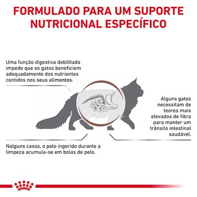 Royal Canin Veterinary Gastrointestinal Hairball alimento para gatos, embalagem com design castanho e dourado, gato ilustrado. Logótipo Veterinary Nutrition visível.