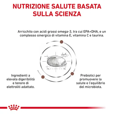 Nutrizione salute basata sulla scienza. Arricchito con omega-3 EPA+DHA, vitamina E, C, taurina. Ingredienti ad alta digeribilità, elettroliti adattati, prebiotici per il microbiota.