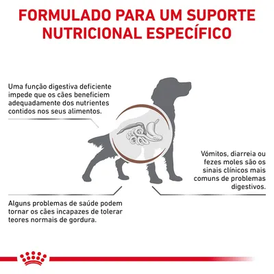 Formulado para um suporte nutricional específico. Texto: função digestiva deficiente impede absorção de nutrientes; vómitos, diarreia ou fezes moles são sinais comuns; problemas com gordura.