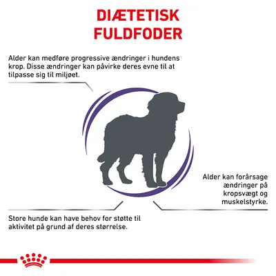 DIÆTETISK FULDFODER. Alder kan medføre progressive ændringer i hundens krop og påvirke tilpasningsevne. Store hunde kan have behov for støtte til aktivitet. Ændringer i kropsvægt og muskelstyrke.