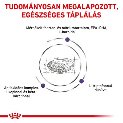 Tudományosan megalapozott, egészséges táplálás. Mérsékelt foszfor- és nátriumtartalom, EPA+DHA, L-karnitin, antioxidáns komplex likopinnal és béta-karotinnal, L-triptofánnal dúsítva.