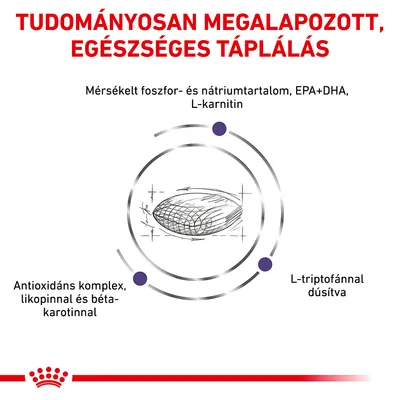 Tudományosan megalapozott, egészséges táplálás. Mérsékelt foszfor- és nátriumtartalom, EPA+DHA, L-karnitin, antioxidáns komplex likopinnal és béta-karotinnal, L-triptofánnal dúsítva.