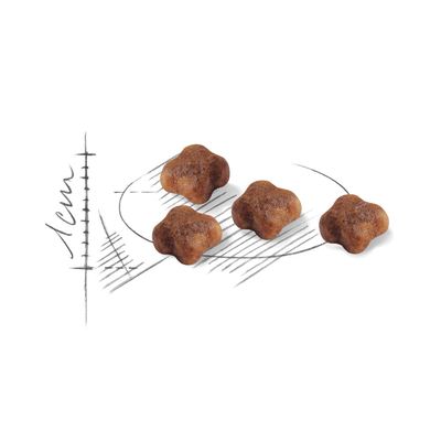 Royal Canin Mother & Babycat