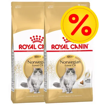 Royal Canin Norwegian Forest Cat Adult -kuivaruokapakkaus, kaksi pussia ja keltainen prosenttimerkki tarjouksen merkkinä. Kissarotu mainittu pakkauksessa. Royal Canin Norwegian Forest Cat Adult -kuivaruokapakkaus, kaksi pussia ja keltainen prosenttimerkki tarjouksen merkkinä. Kissarotu mainittu pakkauksessa.