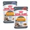 Lot mixte 24 x 85 g Royal Canin en gelée et en sauce Hair & Skin Care en sauce et en gelée