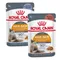Royal Canin Adult Jelly & Gravy Mixed Pack 24 x 85g Intense Beauty in Jelly & Gravy