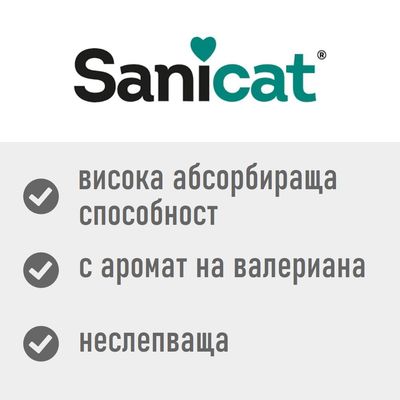Sanicat Kitten