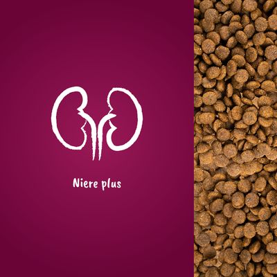 Niere plus. Symbol einer Niere neben einer Nahaufnahme von braunen Trockenfutterstücken.