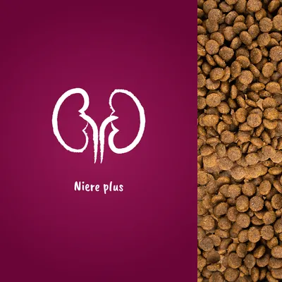 Niere plus. Symbol einer Niere neben einer Nahaufnahme von braunen Trockenfutterstücken.