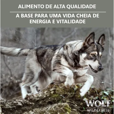Texto: ALIMENTO DE ALTA QUALIDADE. A BASE PARA UMA VIDA CHEIA DE ENERGIA E VITALIDADE. Wolf of Wilderness.