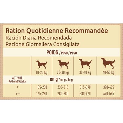Tabla de ración diaria recomendada según peso del perro: 10–20 kg, 20–30 kg, 30–40 kg, 40–55 kg. Cantidades en gramos para dos niveles de actividad (+ y ++).