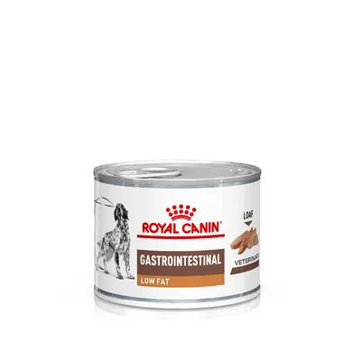 Tin labelled Royal Canin Gastrointestinal Low Fat, loaf texture, veterinary diet.