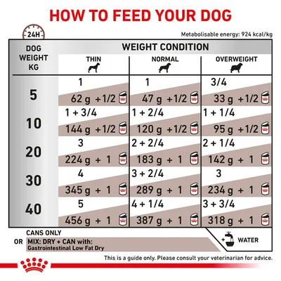 Feeding guide table showing daily food amounts by dog weight and condition: thin, normal, overweight. Includes grams and can portions for 5–40kg dogs. Water symbol shown. Consult vet.