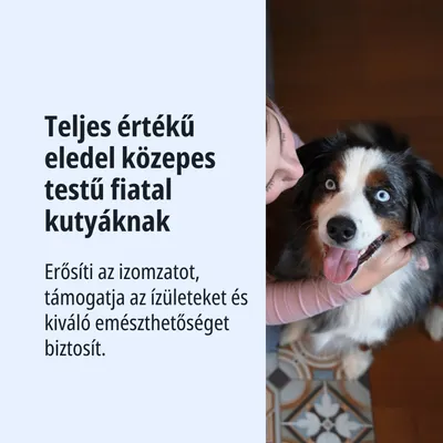 Teljes értékű eledel közepes méretű fiatal kutyák számára, erősíti az izomzatot, támogatja az ízületeket és kiváló emészthetőséget biztosít.