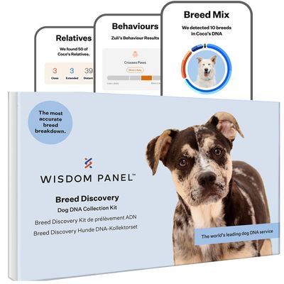 Dog DNA collection kit showing breed discovery, behaviour results, and relatives found. Highlights include breed mix detection and claim of the most accurate breed breakdown.