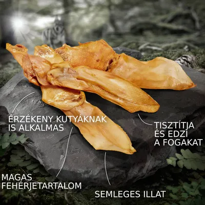 Sertésfül darabok kőlapra helyezve. Feliratok: ÉRZÉKENY KUTYÁKNAK IS ALKALMAS, TISZTÍTJA ÉS EDZI A FOGAKAT, MAGAS FEHÉRJETARTALOM, SEMLEGES ILLAT.
