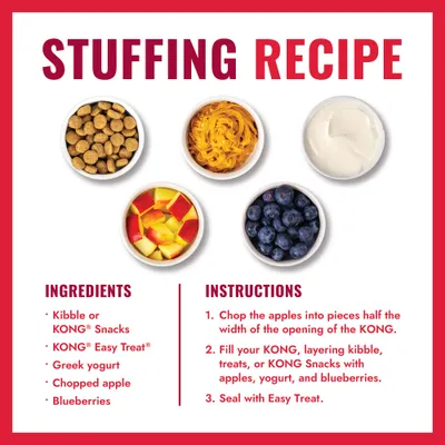 Recipe instructions for KONG filling: Ingredients include dry food or KONG Snacks, Easy Treat, Greek yoghurt, apple pieces and blueberries. Step-by-step instructions included. Recipe instructions for KONG filling: Ingredients include dry food or KONG Snacks, Easy Treat, Greek yoghurt, apple pieces and blueberries. Step-by-step instructions included.