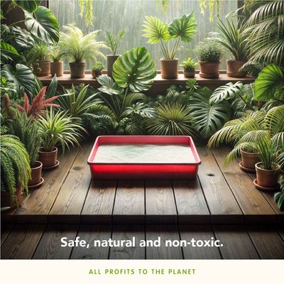 Röd kattlåda med sand placerad på trägolv, omgiven av många gröna krukväxter. Text: Safe, natural and non-toxic. All profits to the planet.