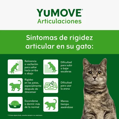 YuMOVE Joint Care All Cats - 60 cápsulas