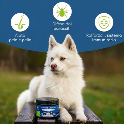 Wolfsbacher Natur Snack Z-Schild