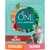 Purina ONE DualNature URI-Balance Sterilized Saumon, sachet avec image de saumon, canneberges, chat gris. Texte visible : STERILIZED, SAUMON.