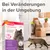 Beaphar CatComfort Starter-Kit feromoneilla, vaikuttaa 30 päivää. Muutoksiin ympäristössä. Sopii kissoille, stressitilanteisiin ja tiloihin jopa 70 m².