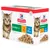 48 x 85 g Kitten Favoriete selectie