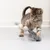Котенце играе с играчка въдица от филцови топки и пискюли.