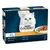 Chef’s Collection mini fillets in gravy selection with turkey, duck, lamb and tuna. Contains 12 portions of 85g each.