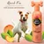 Pet Head Quick Fix 2-in-1 Shampoo Peach mit Arganöl, 300ml. Für Hunde unterwegs.