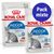 Oferta: Royal Canin pack mixto salsa y gelatina 24 x 85 g - Indoor Sterilised en salsa y en gelatina