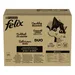Felix Fantastic jumbo pack 120 x 85 g - Duplán finom