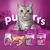 Selection of Whiskas CatMilk, Temptations, Dentabites with chicken, and Milky Treats pouches displayed in front of a cat with the word 'purrs' in the background.
