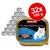 animonda Vom Feinsten ADULT mit Lachs + Shrimps, lot de 32 barquettes de 100 g, image d’un chat blanc et pâtée avec saumon et crevettes visibles sur l’emballage