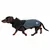 Dackel trägt eine dunkelgraue Hundejacke mit schwarzem Kragen und reflektierenden Details. Logo auf der Seite: 'Mountain Peak'.