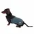 Dog wearing a fitted coat with high neck and reflective badge, demonstrating how the garment covers the body for warmth and visibility.