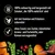 100% полноценный, изготовлен из натуральных ингредиентов. Приготовлен с большим количеством овощей и трав. Без сахара, искусственных ароматизаторов, красителей и консервантов.
