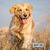 Happy Dog NaturCroq Mini Bone Pollo